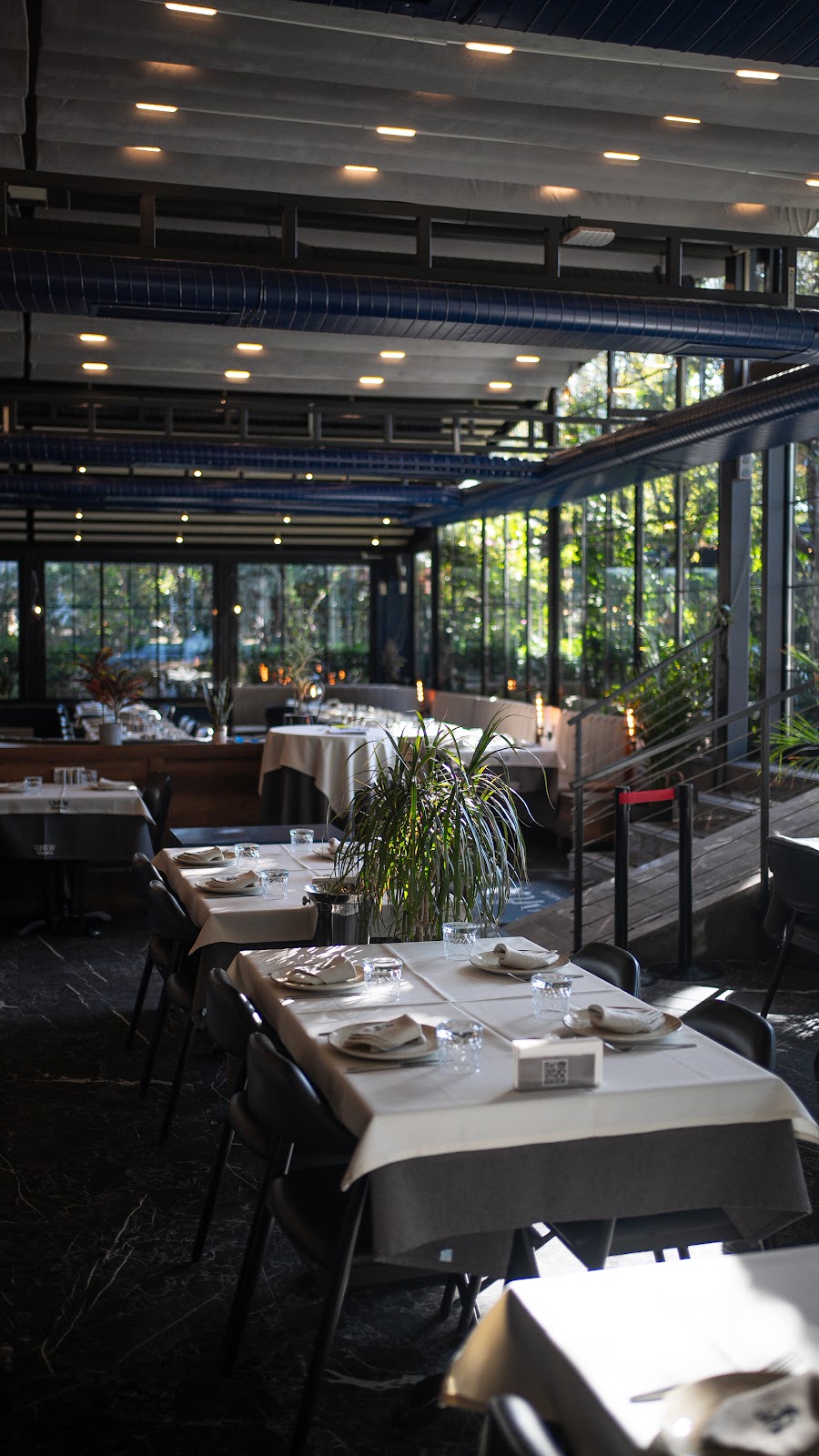 Umus istanbul
